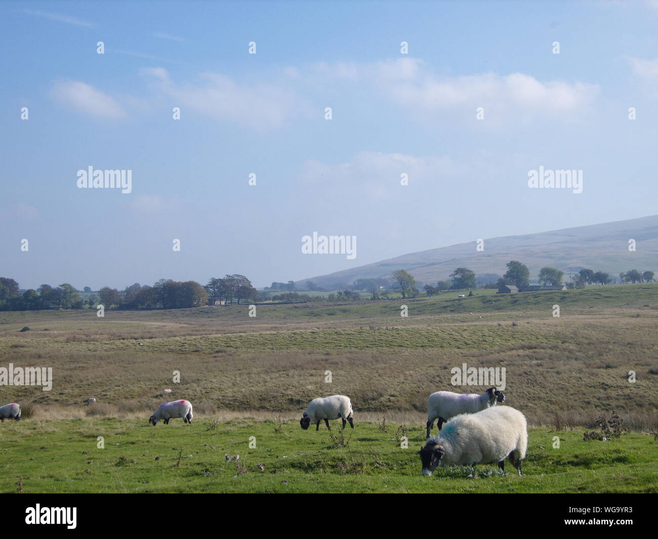 Lake District National Park England Großbritannien Stockfoto