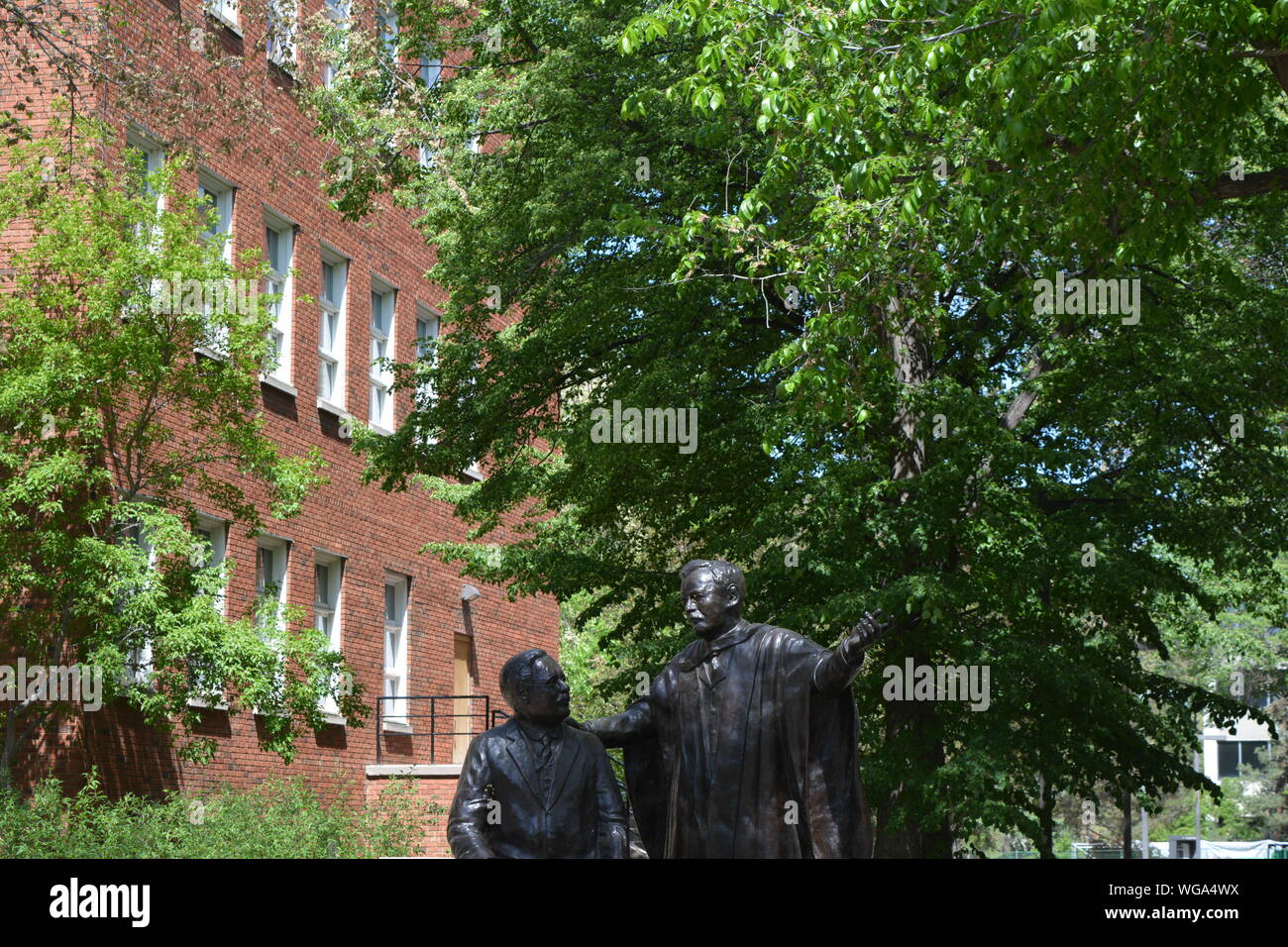 Eine Statue zu Ehren der Universität von Alberta's Gründer, Kanada Stockfoto