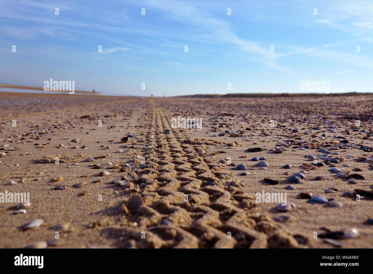Auto Reifen Spuren durch Sand Strand mit blauem Himmel im Hintergrund Stockfoto