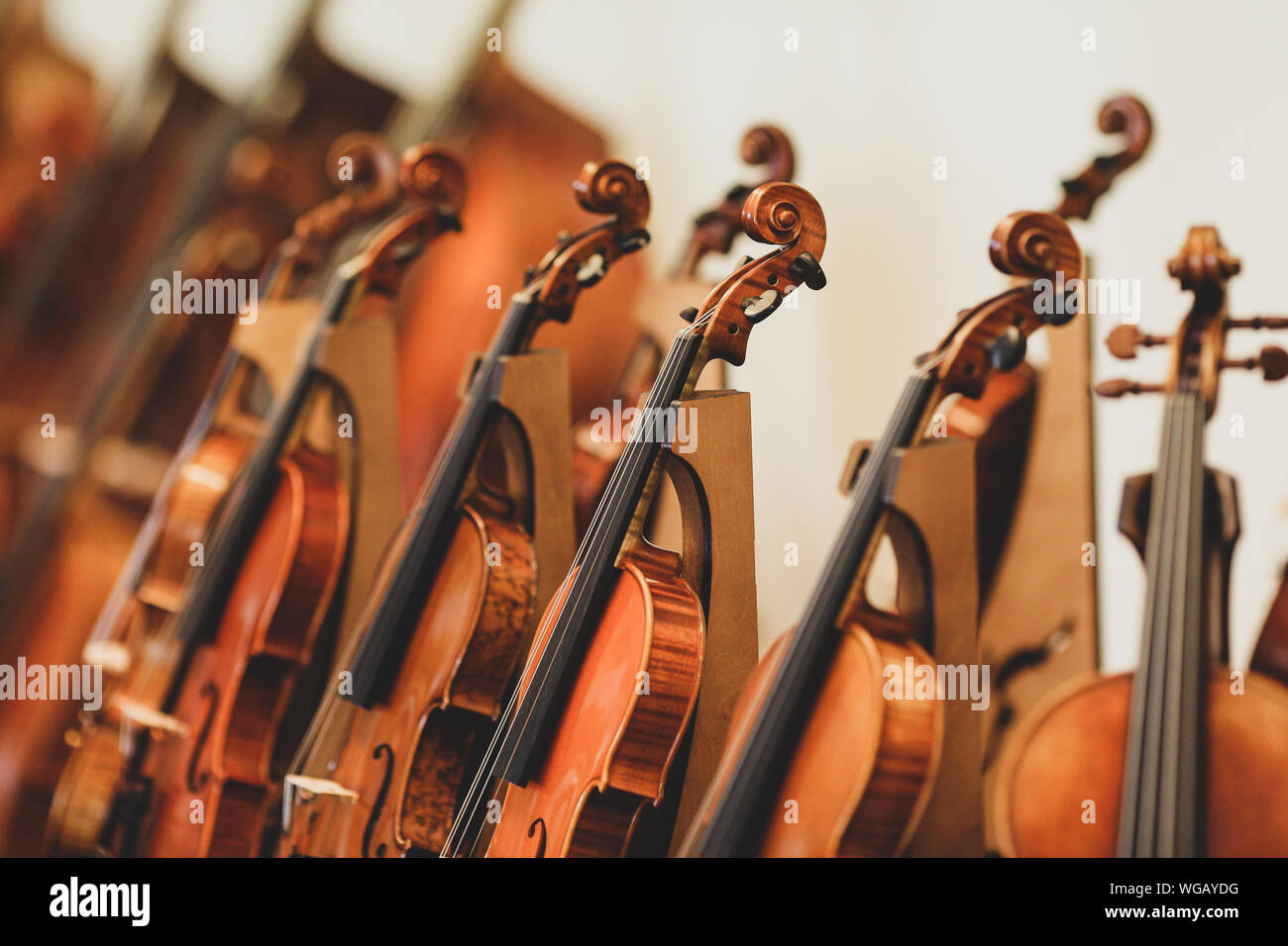 Details mit Teilen von Violinen, bevor eine sinfonische Klassik Konzert Stockfoto
