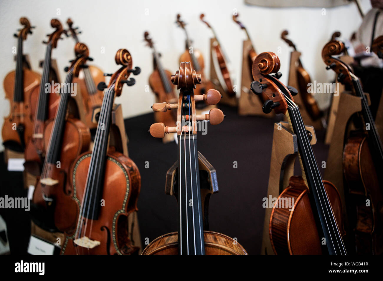 Details with the scroll, peg box, tuning pegs, strings, neck and fingerboard of a violin before a symphonic classical concert Stockfoto