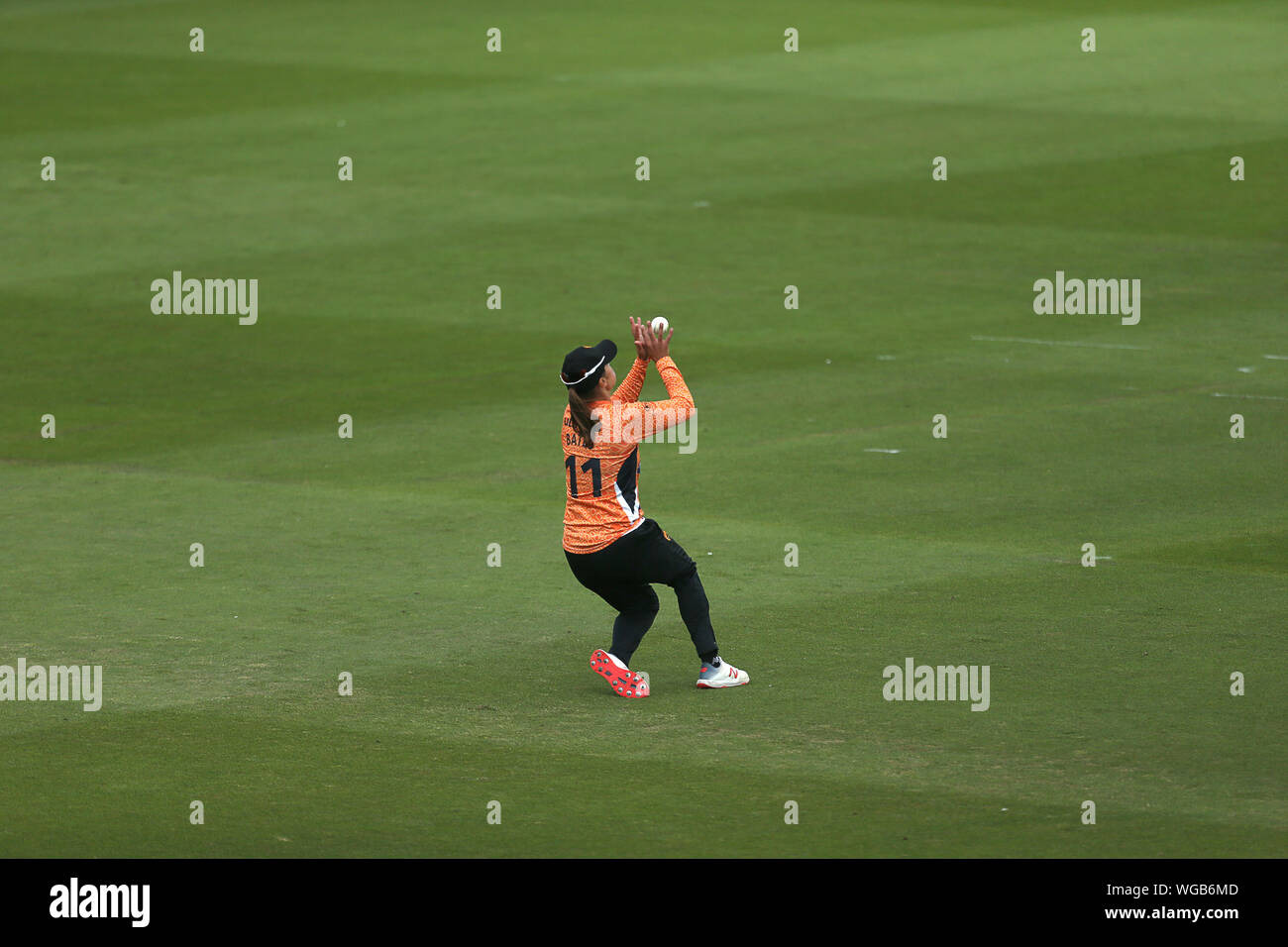 Südliche Vipern Suzie Bates Fänge aus Loughborough Blitz Georgia Adams (nicht im Bild) während Kia Super League Halbfinale an der 1. zentralen County Boden, Hove. Stockfoto