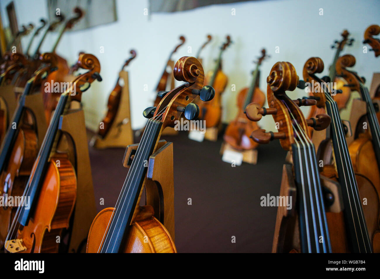 Details mit Teilen von Violinen, bevor eine sinfonische Klassik Konzert Stockfoto