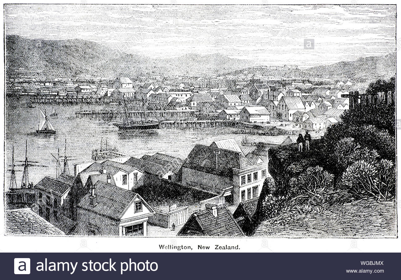 Blick auf Wellington Neuseeland, vintage Abbildung von 1884 Stockfoto