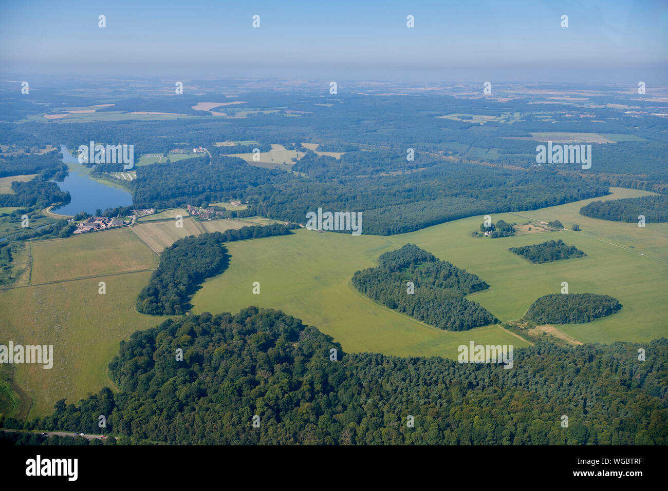 Ein Blick auf die Reste der Sherwood Forest, östlich von Worksop, East Midlands, Großbritannien Stockfoto