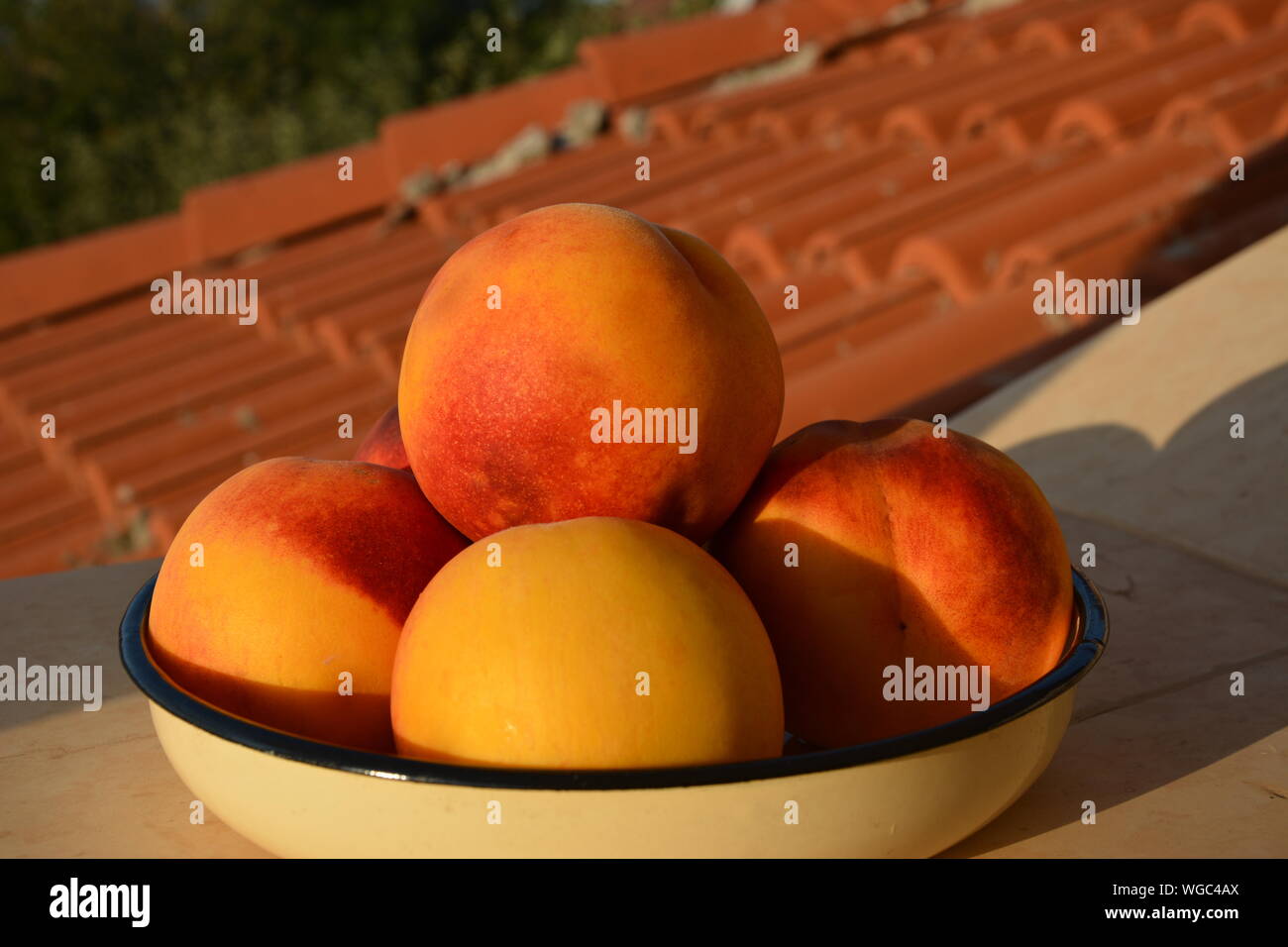 Schöne Pfirsiche - lecker Obst Stockfoto