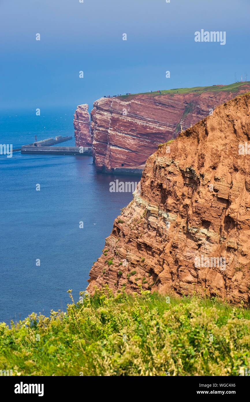 Die Küste von Helgoland - blauer Himmel und blaue Nordsee - grüne Blume vor Stockfoto