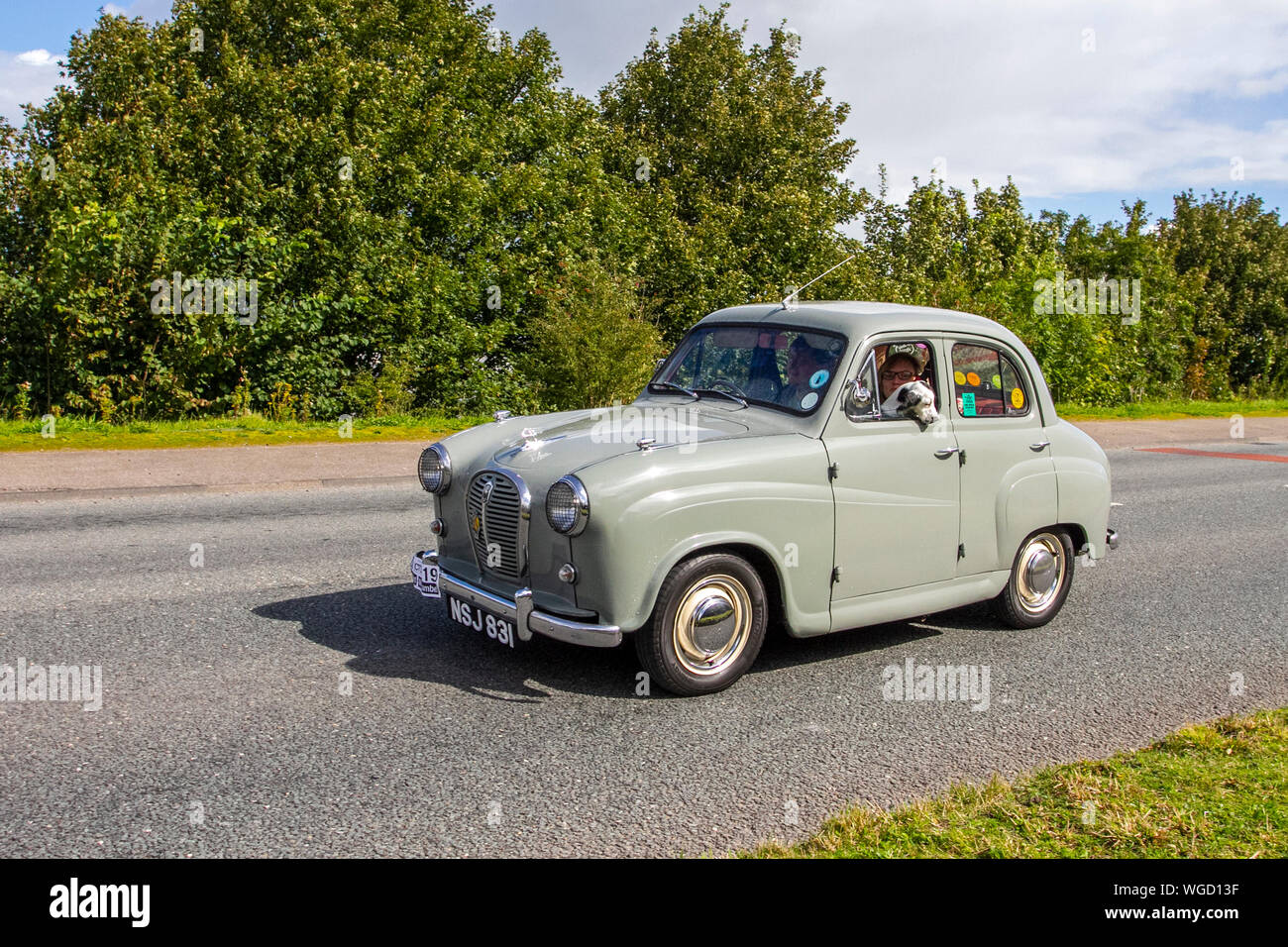 1959 50s grey Austin A35 Oldtimer Rallye, alt, Retro Fahrzeug, historisches Automobil, Transport, klassisch antik, Sammlung, Autotransport, Design, Motor, Antrieb, historisch, Geschichte, Show, Motor, restauriertes Sammlerstück, Stil, historische Fahrzeug laufen. Stockfoto