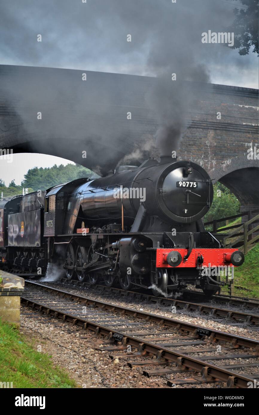 Royal Norfolk Regiment Dampflok auf der North Norfolk Bahn durch die Brücke bei weyborne Station gut dämpfen Stockfoto