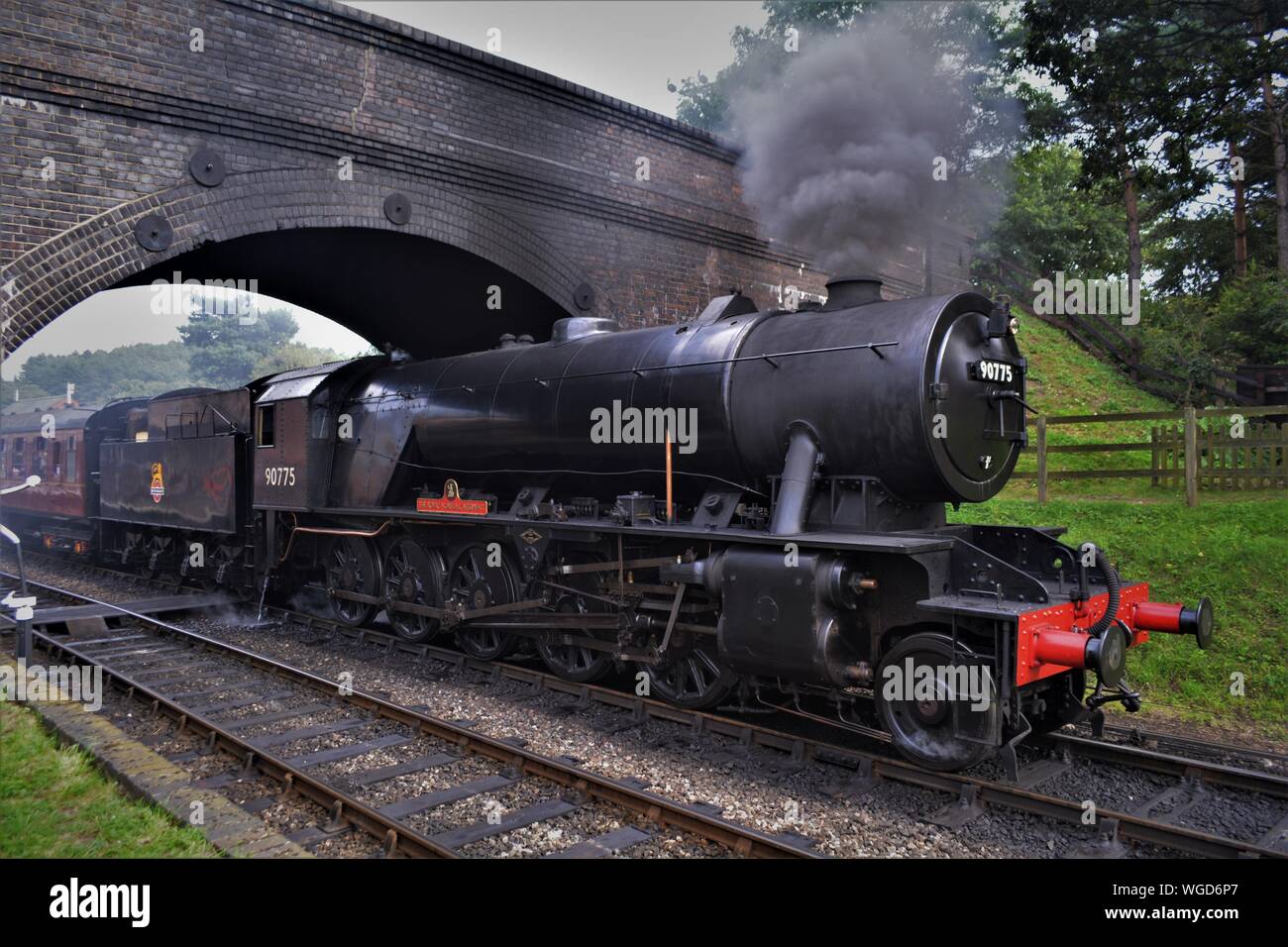 Royal Norfolk Regiment Dampflok auf der North Norfolk Bahn durch die Brücke bei weyborne Station gut dämpfen Stockfoto