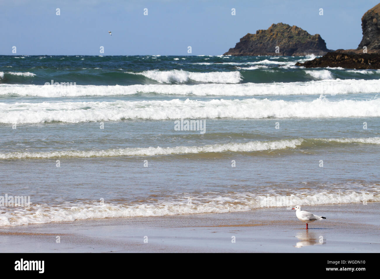 Surfen Strand Blick auf Polzeath, an der Nordküste von Cornwall Stockfoto Surfen Strand Blick auf Polzeath, an der Nordküste von Cornwall Stockfoto