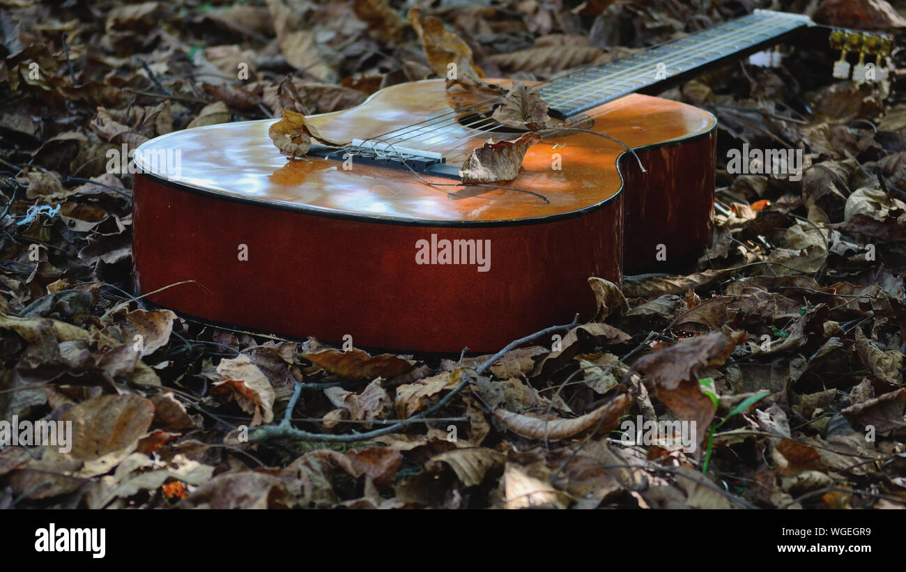Klassische Gitarre auf einem gefallenen Blätter Stockfoto