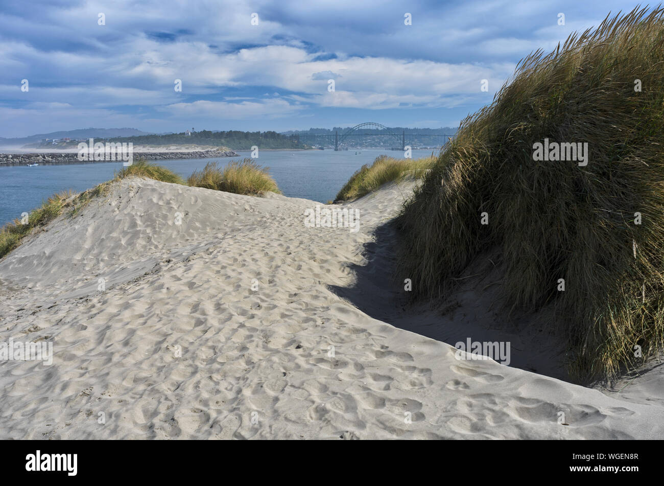 Blick über grasbewachsenen Dünen zum Strand von South Beach State Park in der Nähe von Newport, Oregon Stockfoto