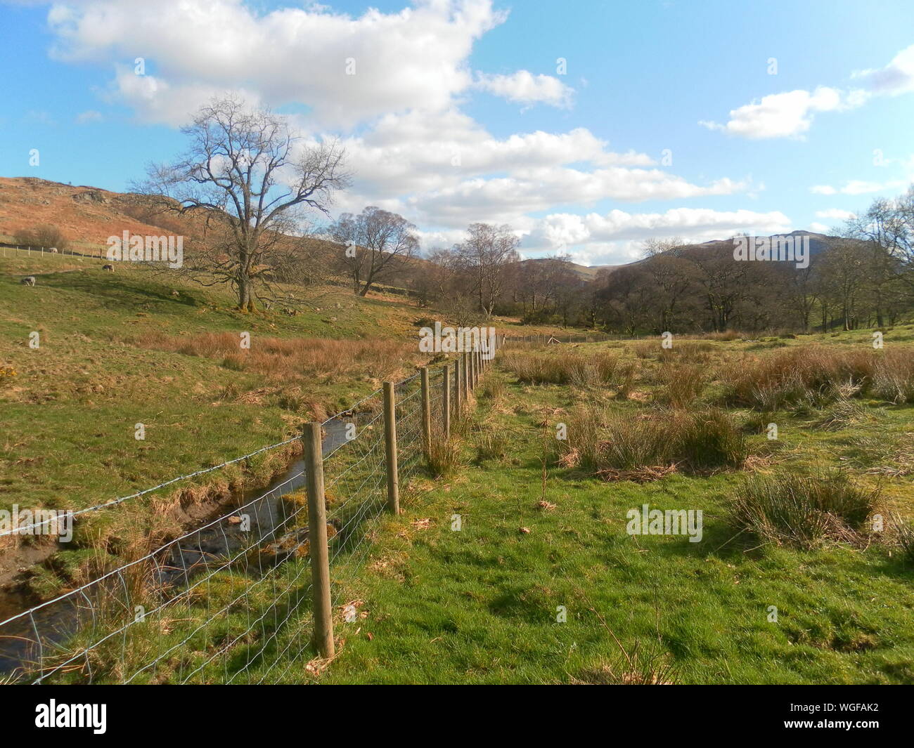 Lake District National Park England Großbritannien Stockfoto