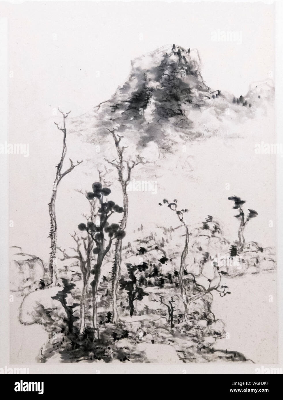 Landschaft, Blumen und Vögel, eine inkwash Malerei von Zhu Da (Bada Shanren-c 1626-1705), Qing Dynastie datiert 1694. Stockfoto