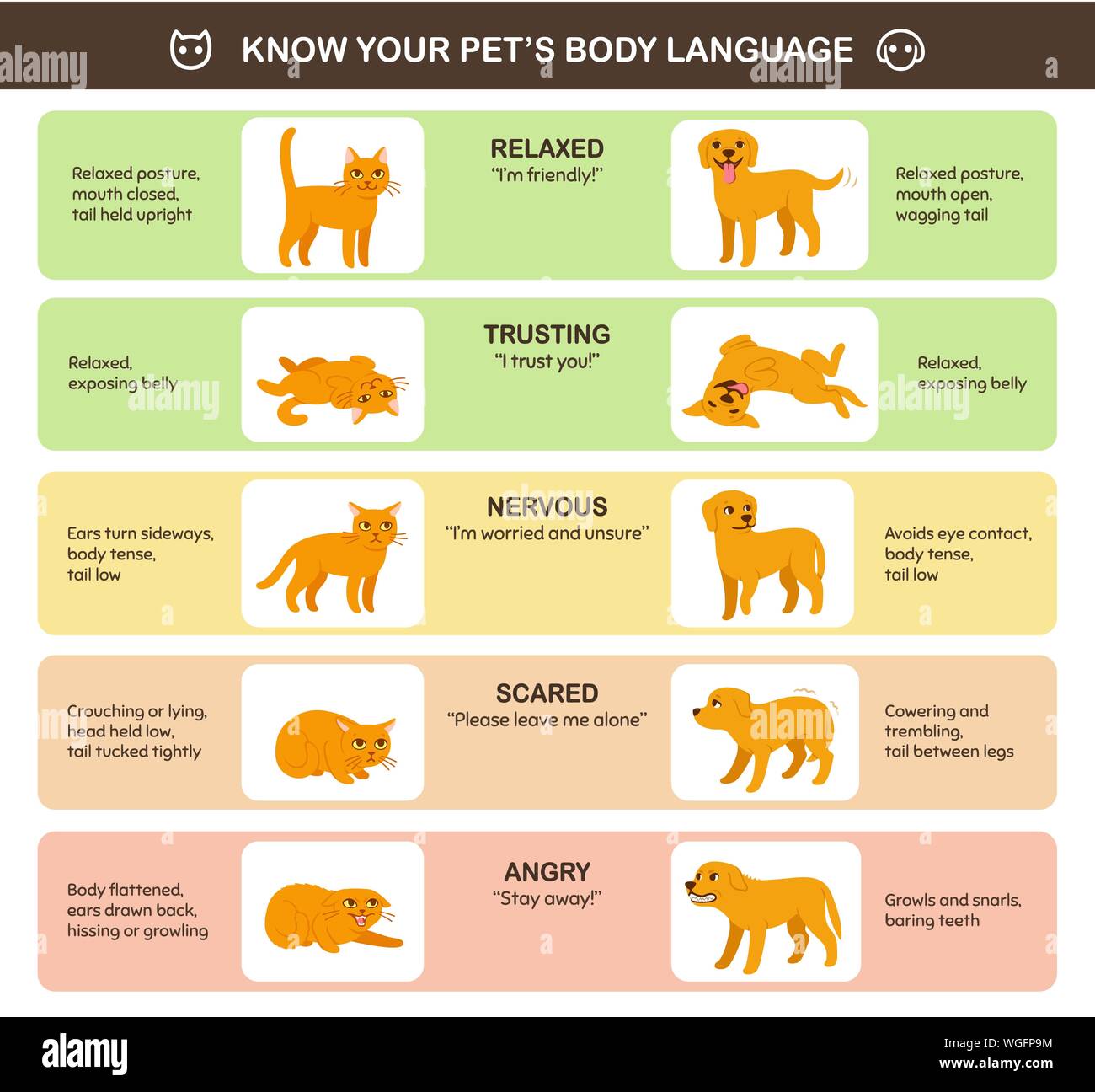 Katze und Hund Körpersprache Vergleich, pädagogische Infografik Charts. Katzen und Hunde Emotionen und Verhalten. Cartoon Vector Illustration Cute, printa Stock Vektor