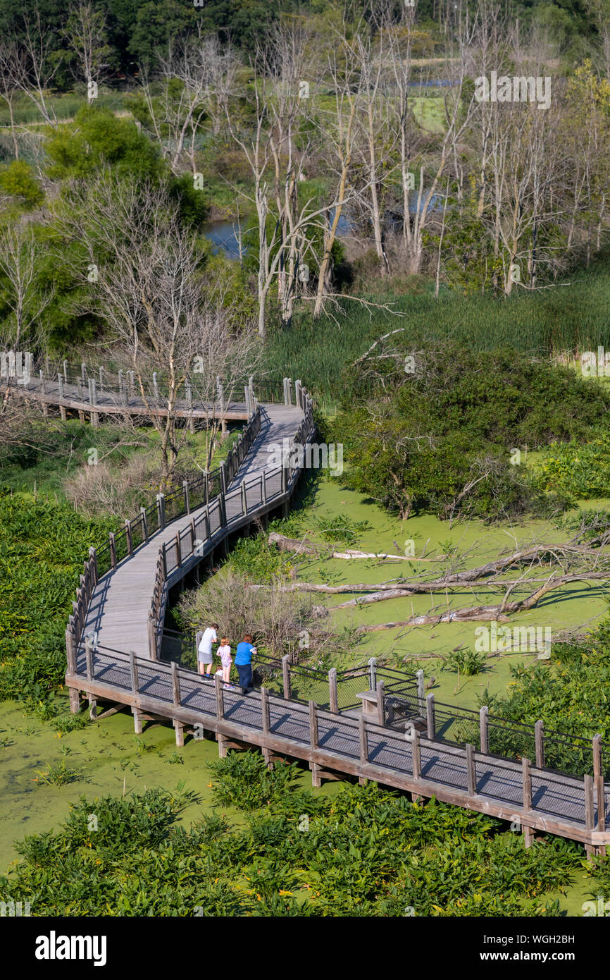 Neue Buffalo, Michigan - ein Marsh Boardwalk in Galien River County Park. Das Gebiet ist Teil der neuen Buffalo Marsh, ein Feuchtgebiet in der Nähe der Mündung des Gal Stockfoto