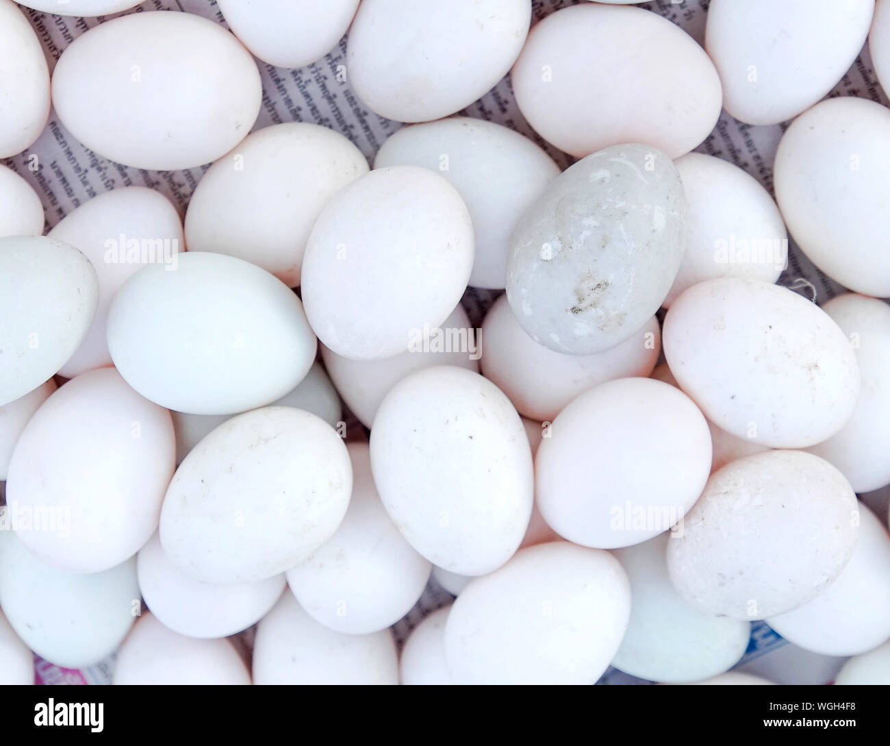 Full Frame Geschossen von Weißen Ei Stockfoto