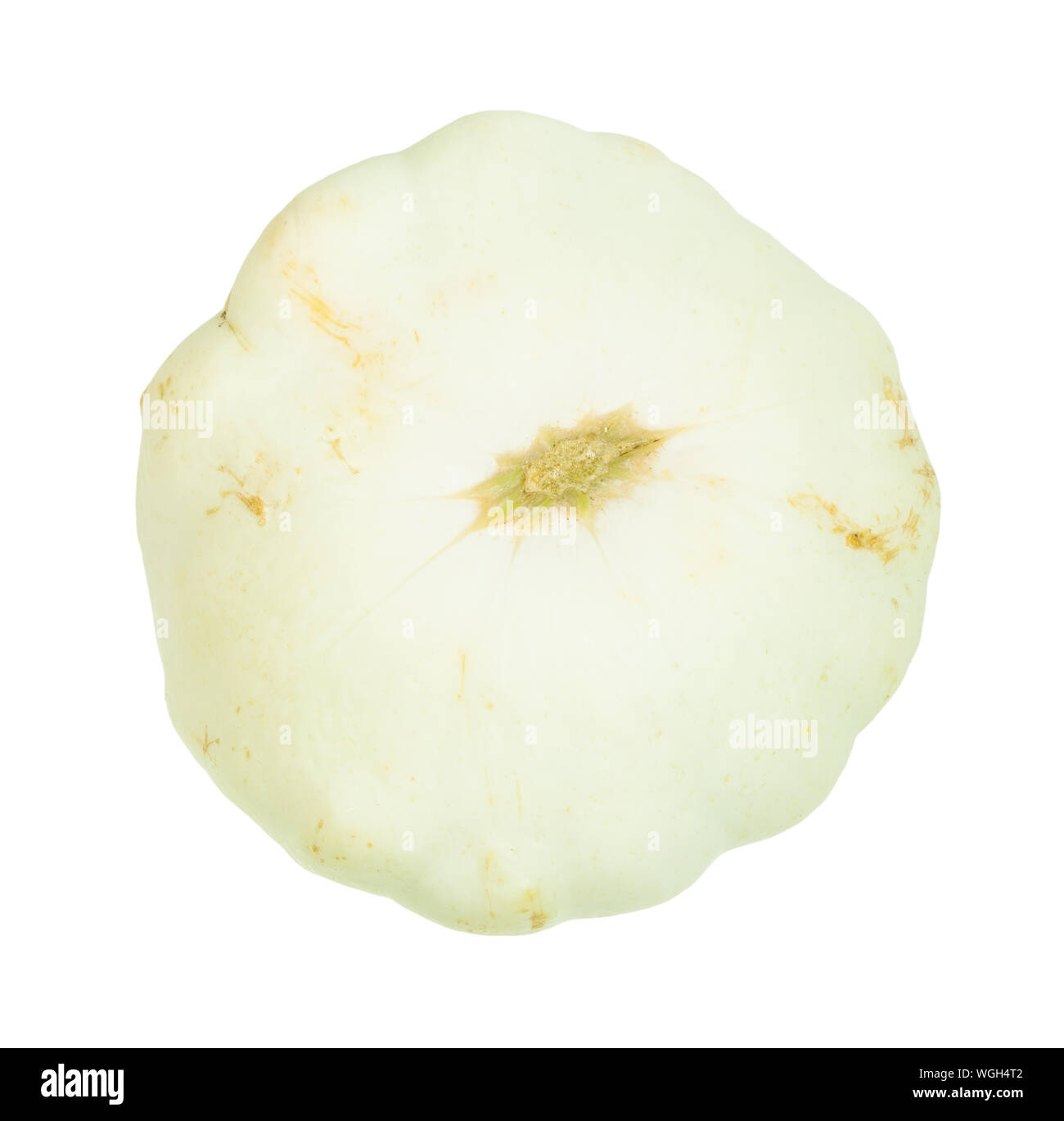 Blick von oben auf die weiße Pattypan Squash auf weißem Hintergrund Stockfoto