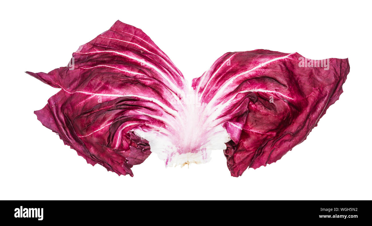 Frische Blätter Radicchio (Italienische Blatt Chicoree) auf weißem Hintergrund Stockfoto