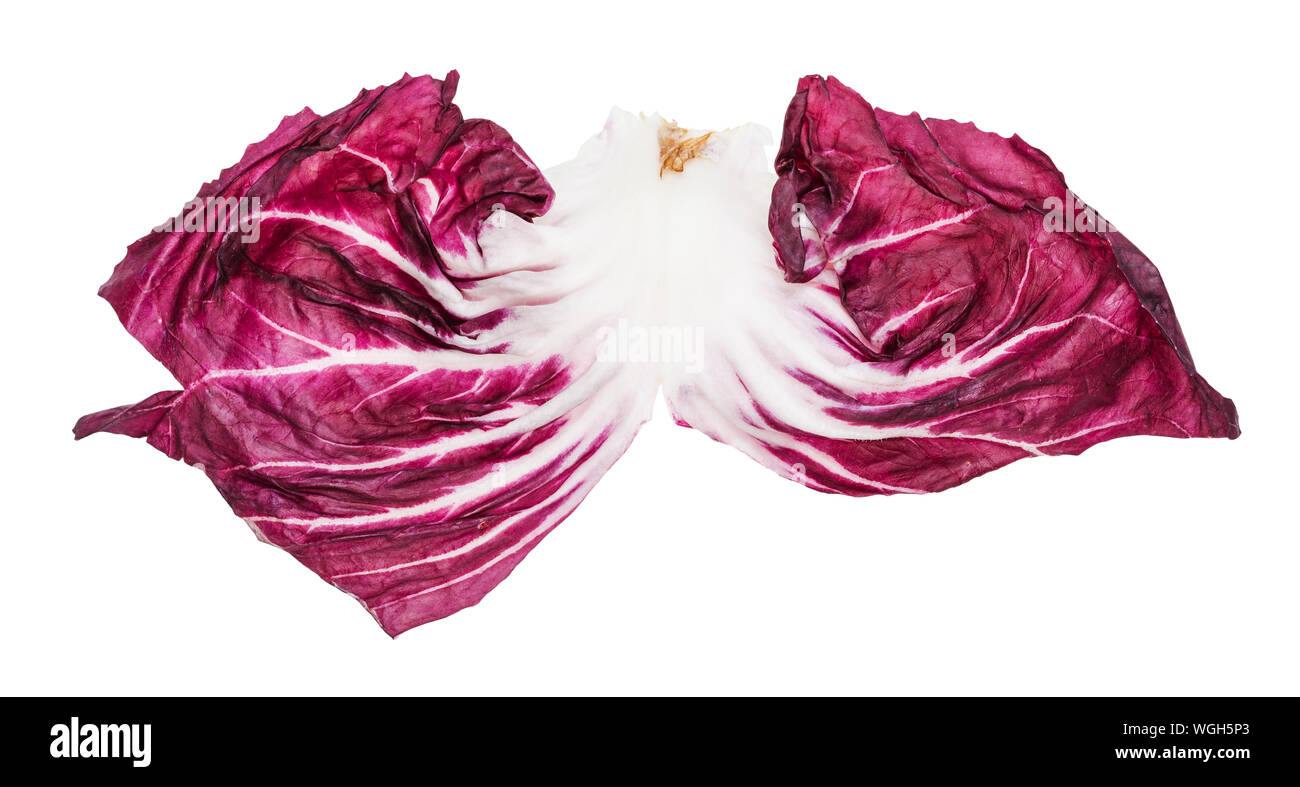 Einzelne Blätter Radicchio (Italienische Blatt Chicoree) auf weißem Hintergrund Stockfoto