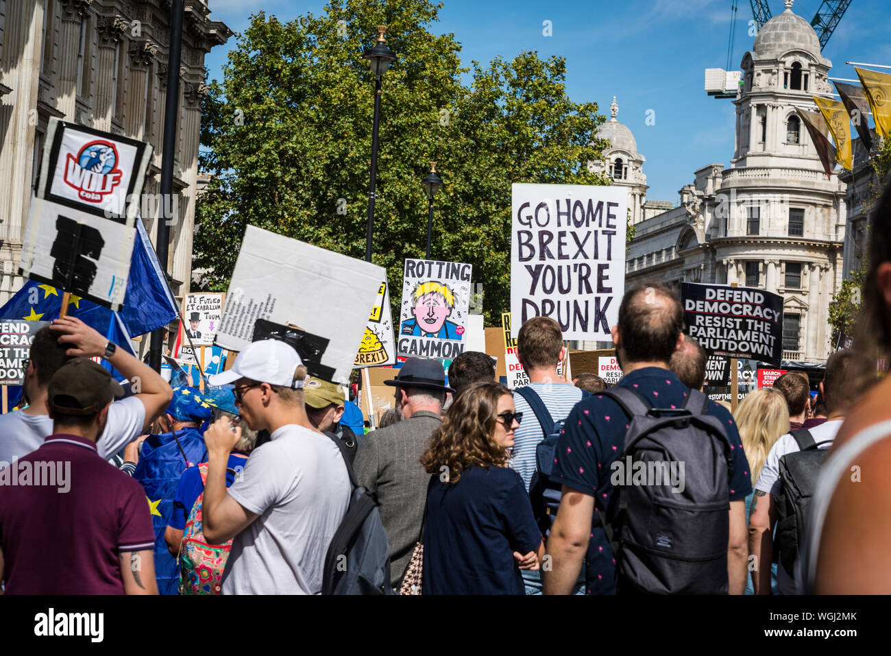 Demonstranten auf der Whitehall, Protest gegen die Aussetzung des Parlaments, London, UK, 31/08/2019 Stockfoto