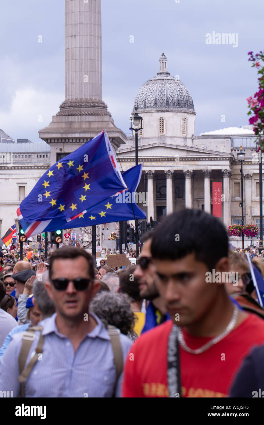 Demonstranten in Parliament Square und Downing Street UK protestieren gegen PM Boris Johnson die Entscheidung des Parlaments im Vorfeld auszusetzen - bis zu Brexit. Stockfoto