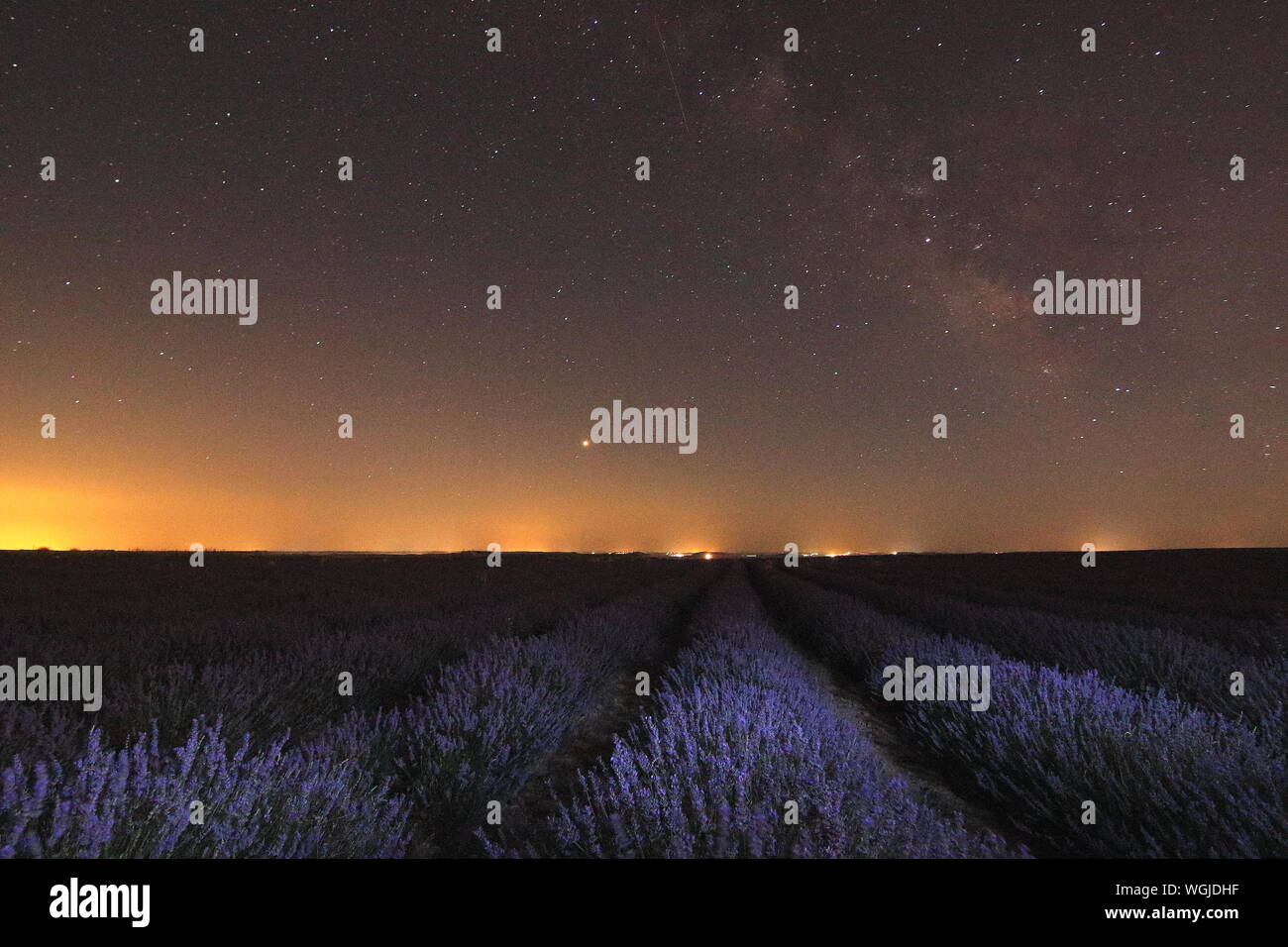 Campos de Lavanda en Villardefrades, Provincia de Valladolid, Castilla y Leon, Spanien. fotografia nocturna Stockfoto