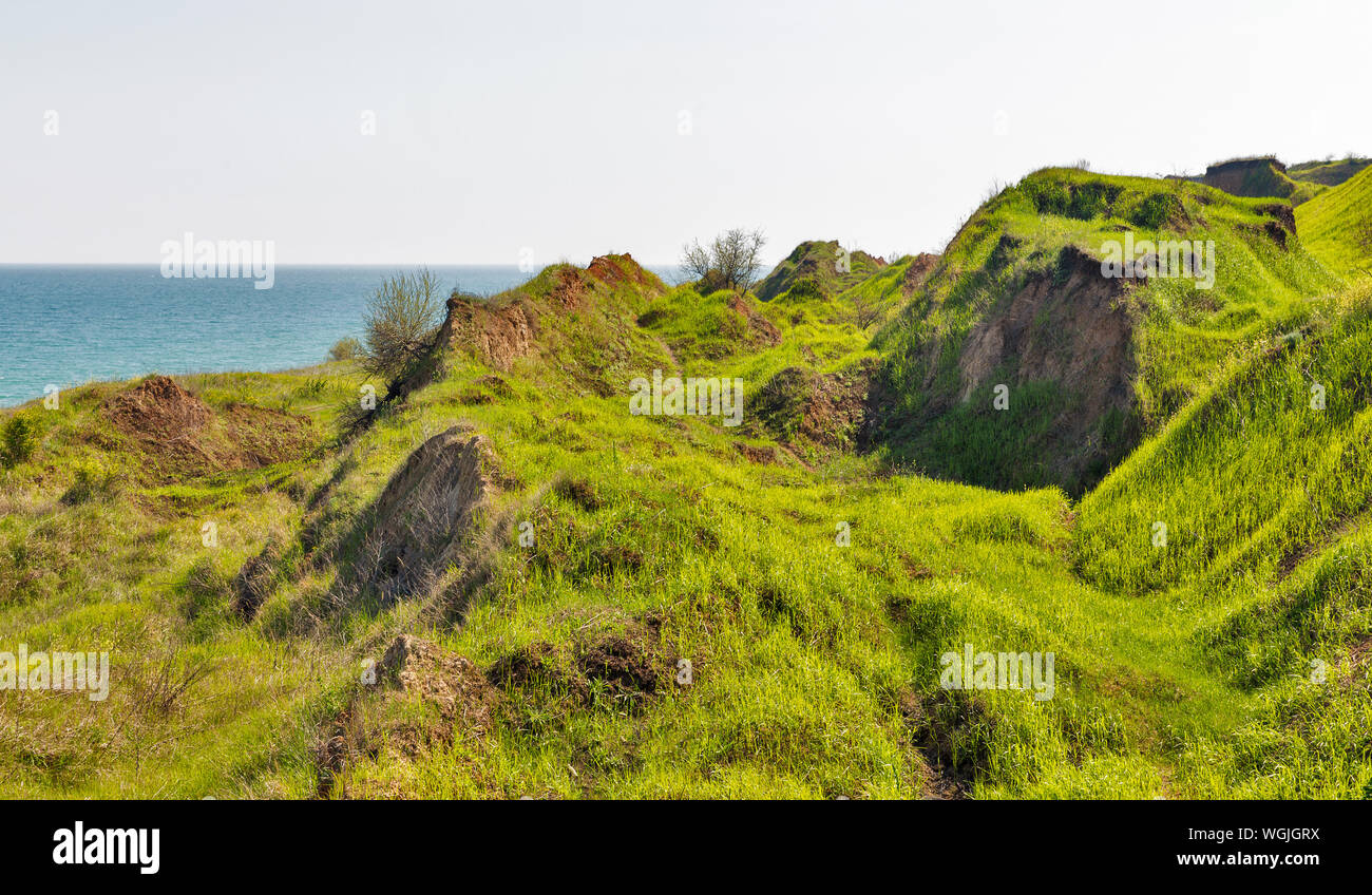 Gras Hügel Landschaft und Schwarzes Meer Marine in der Nähe von Odessa, Ukraine Stockfoto