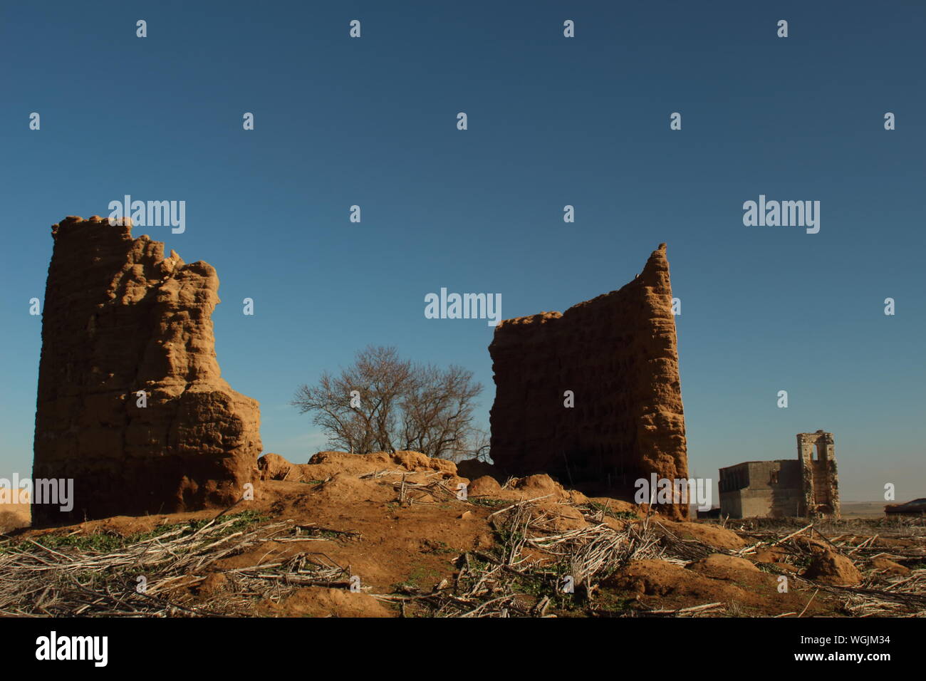 Campos de Lavanda en Villardefrades, Provincia de Valladolid, Castilla y Leon, Spanien. fotografia nocturna Stockfoto