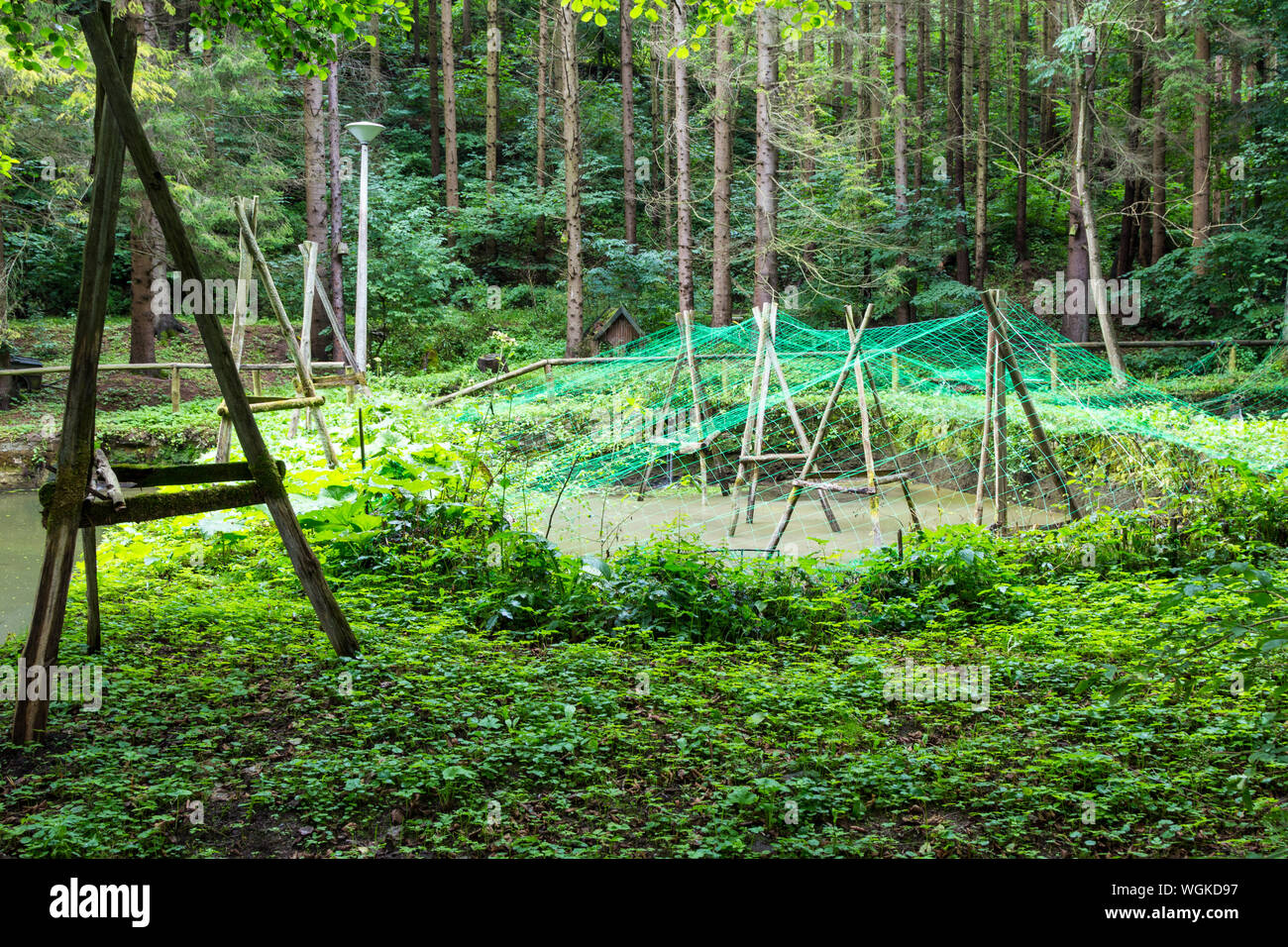 Forelle wachsenden Zucht Teich Pool in Szalajka-völgy Szalajka-tal, Ungarn Stockfoto