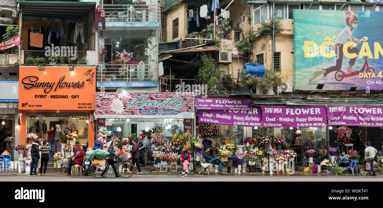 Straße mit Blume Geschäfte und typische Wohnhäuser in der Altstadt von Hanoi, Vietnam Stockfoto