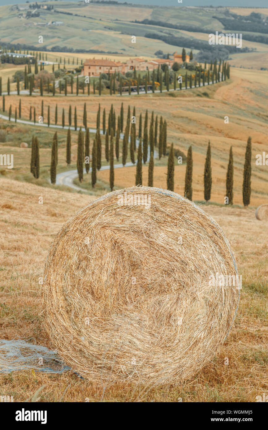 Toskana, Italien - 10. Juni 2019: Strohballen vor der toskanischen Landschaft mit Landstraße und Zypressen Stockfoto