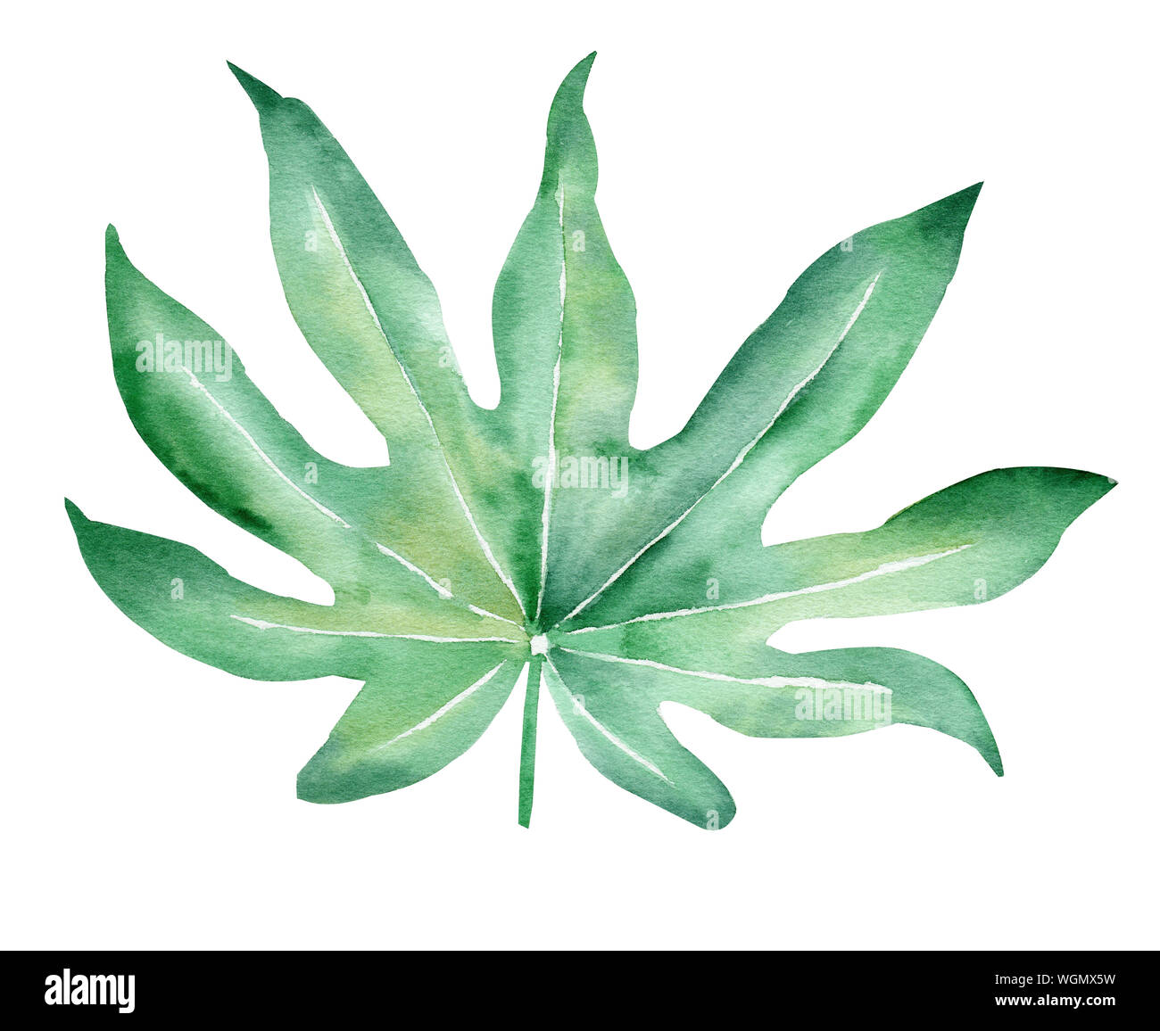 Dschungel blatt Hand gezeichnet Aquarell raster Abbildung. Exotischen Pflanze isoliert Clipart. Sommer verlässt blühenden Aquarelle zeichnen. Natürliche Laub, bloss Stockfoto