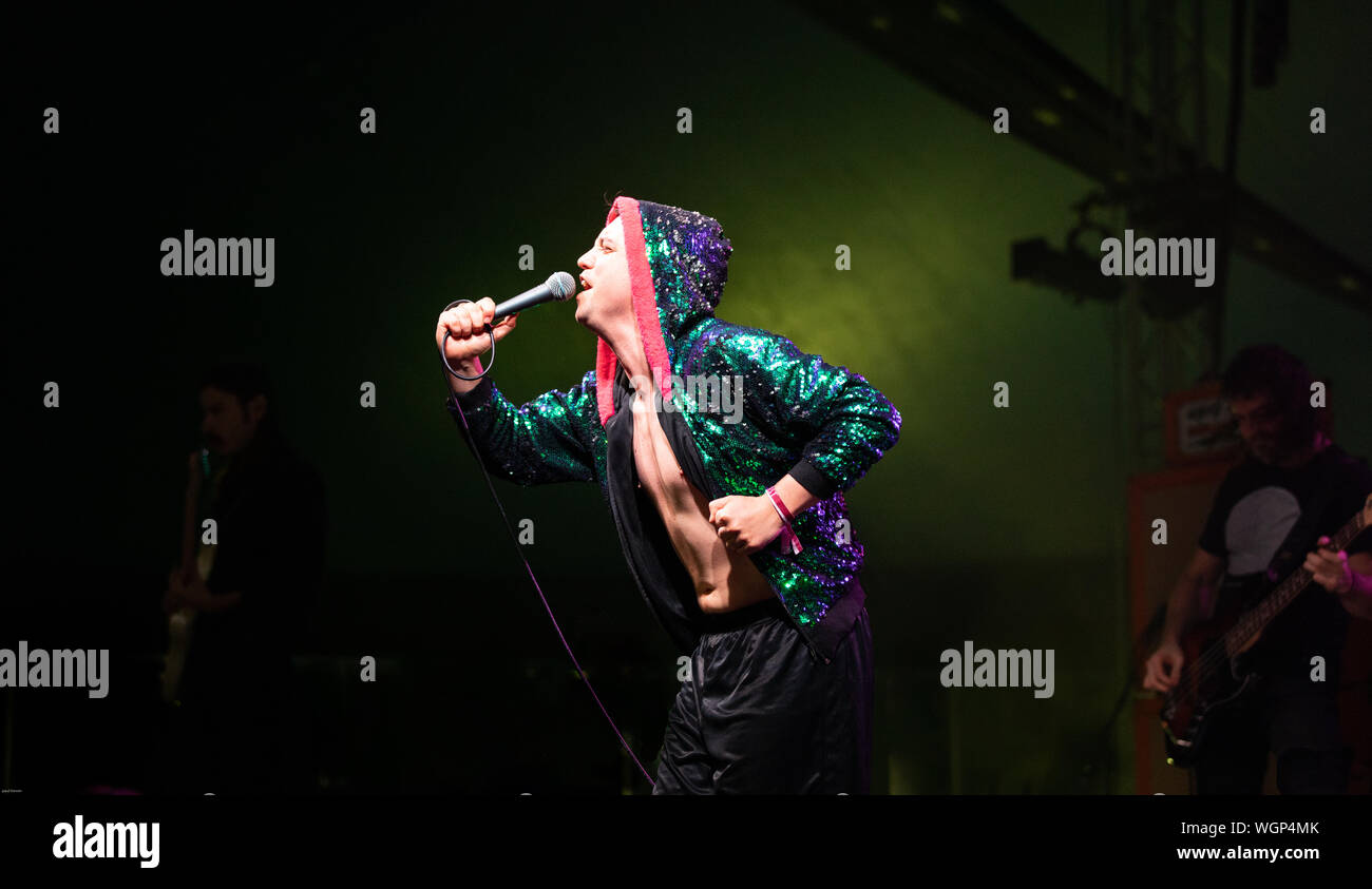 Schweine Schweine Schweine Schweine Schweine Schweine Schweine am Ende der Straße Festival 2019 Stockfoto