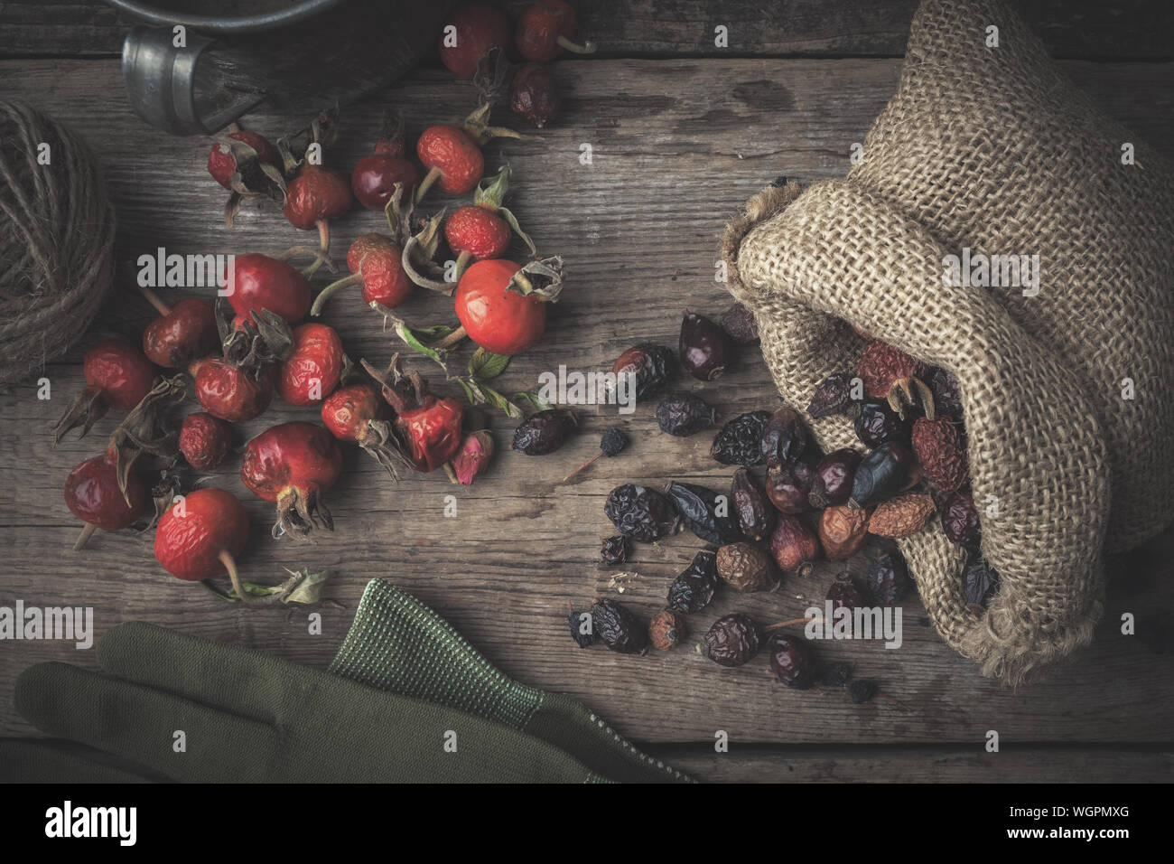 Hagebutte Beeren, Sack von trockenen Sweet Briar Früchte, Handschuhe und rusric Cup. Ansicht von oben. Stockfoto