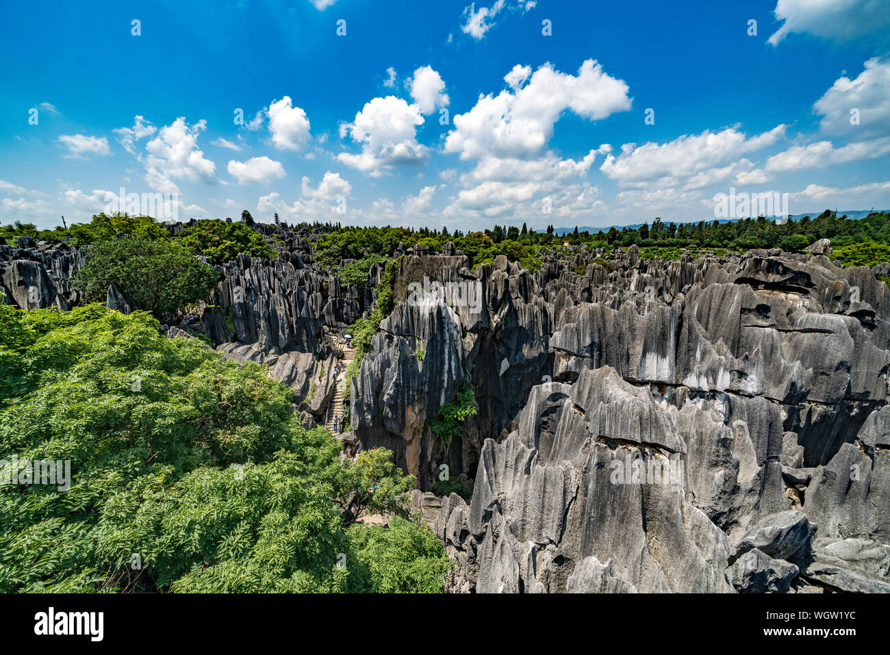 Der Steinwald in Kunming, China Stockfoto