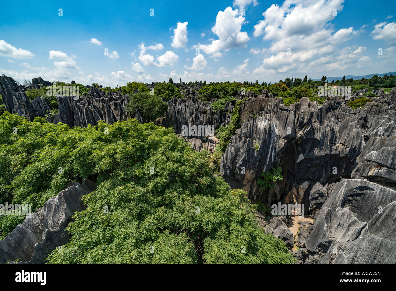 Der Steinwald in Kunming, China Stockfoto