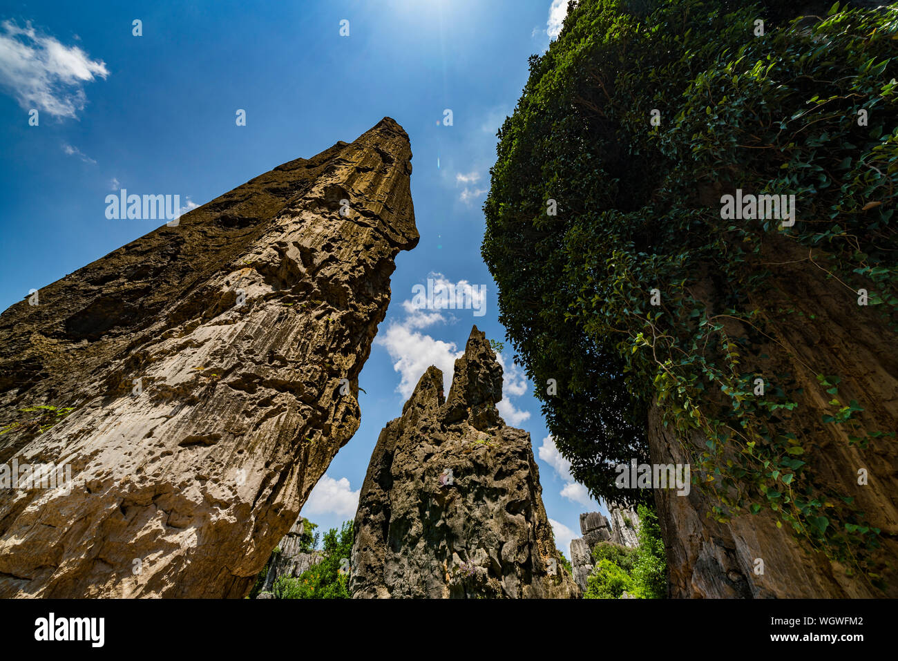 Der Steinwald in Kunming, China Stockfoto