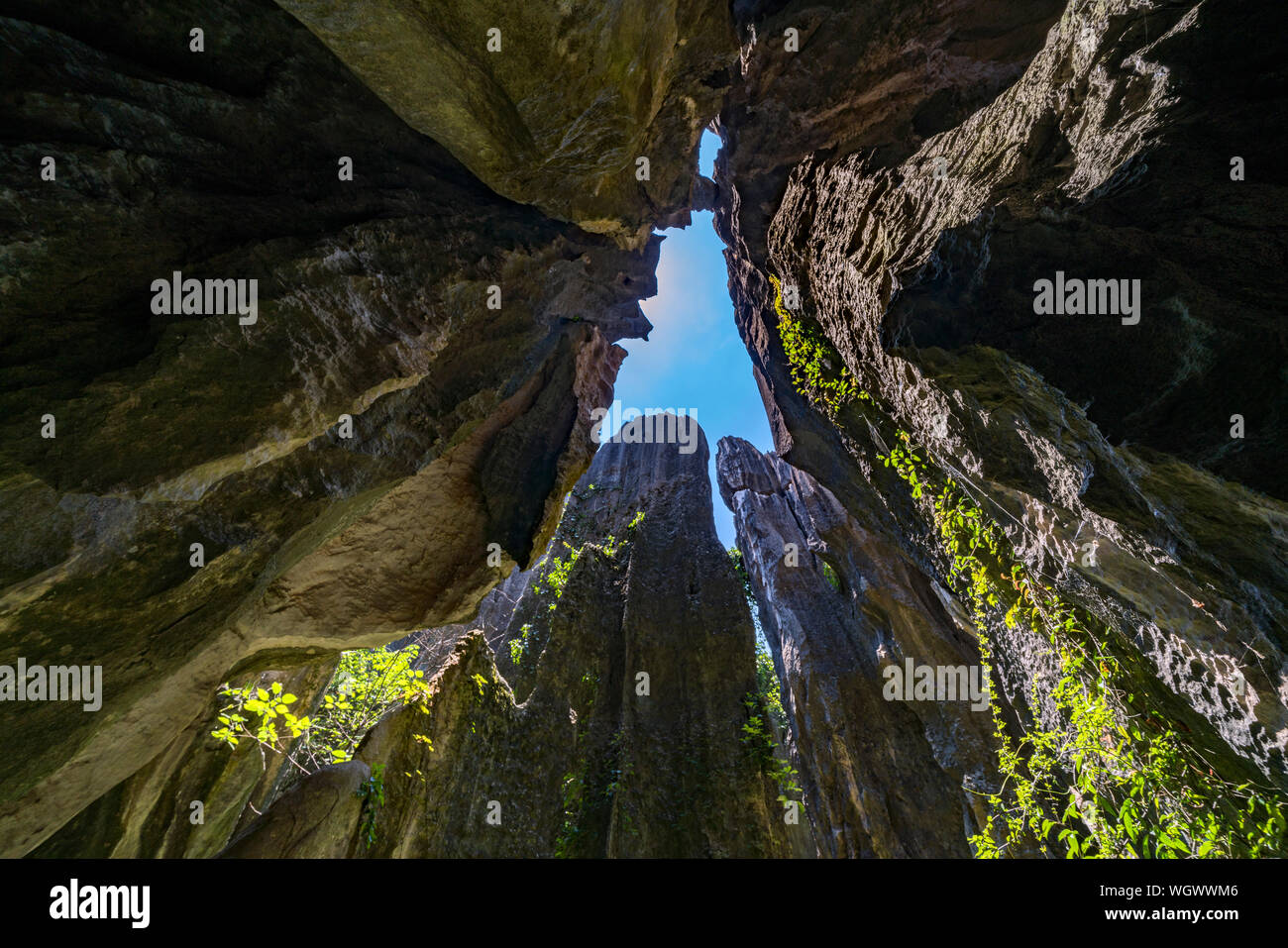 Der Steinwald in Kunming, China Stockfoto