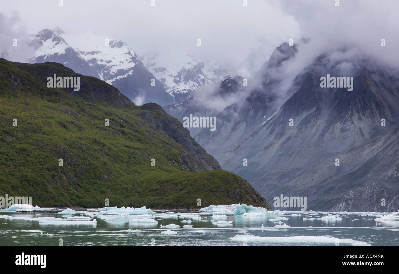 Mc Bride Gletscher, Glacier Bay National Park, Alaska. Stockfoto