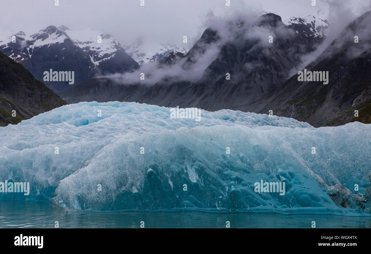 Mc Bride Gletscher, Glacier Bay National Park, Alaska. Stockfoto