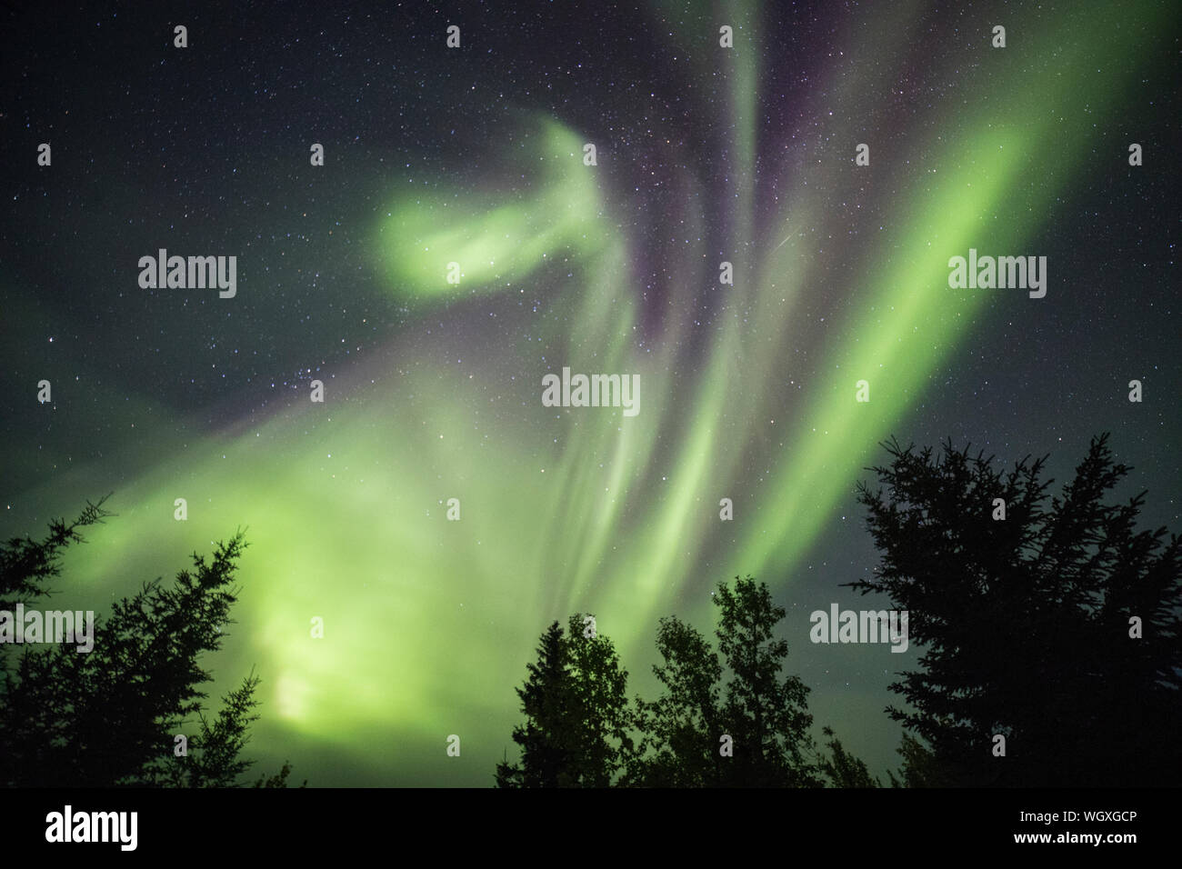 Nordlichter, auch Aurora borealis, Wiseman, Alaska bekannt Stockfoto