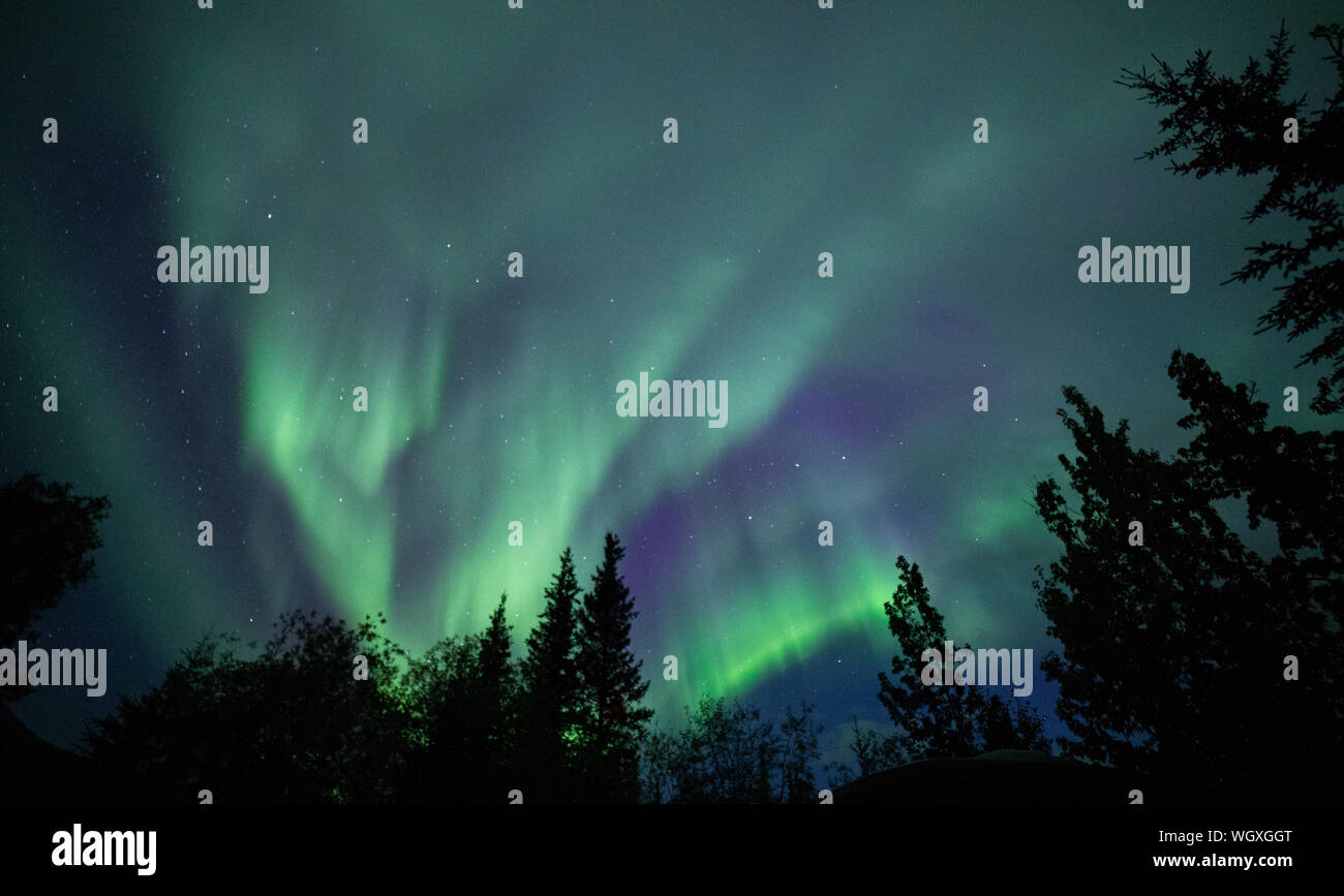 Nordlichter, auch Aurora borealis, Wiseman, Alaska bekannt Stockfoto