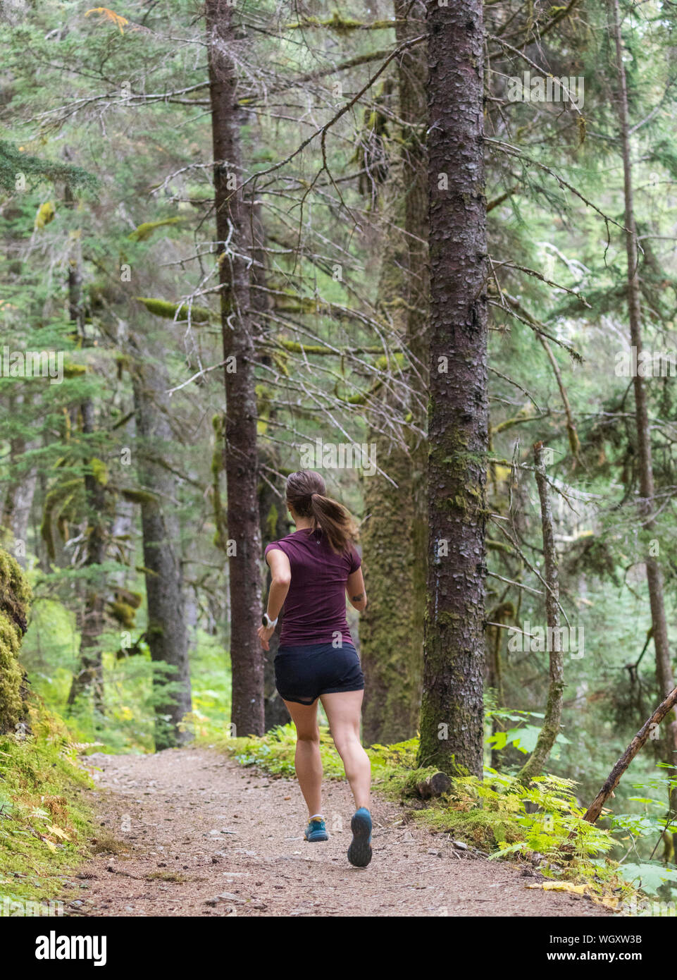 Gina Valdes, Seward, Alaska. Stockfoto