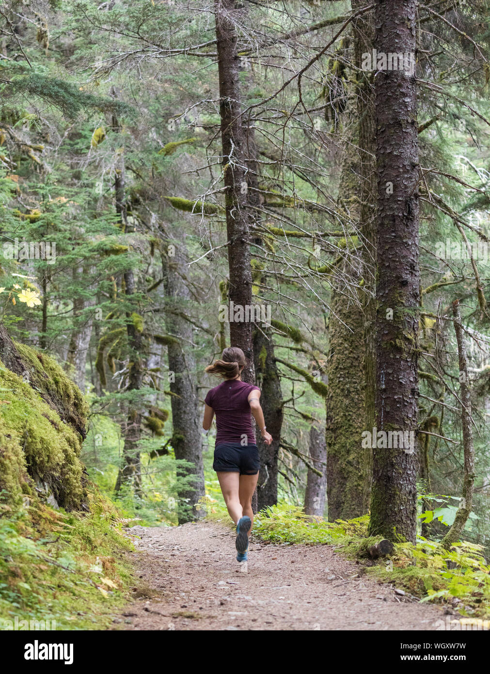Gina Valdes, Seward, Alaska. Stockfoto