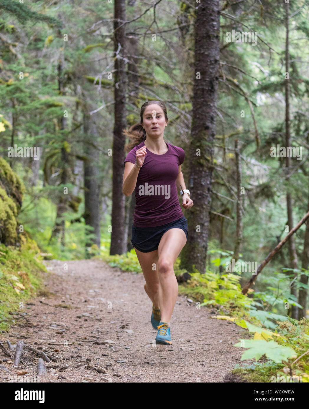 Gina Valdes, Seward, Alaska. Stockfoto