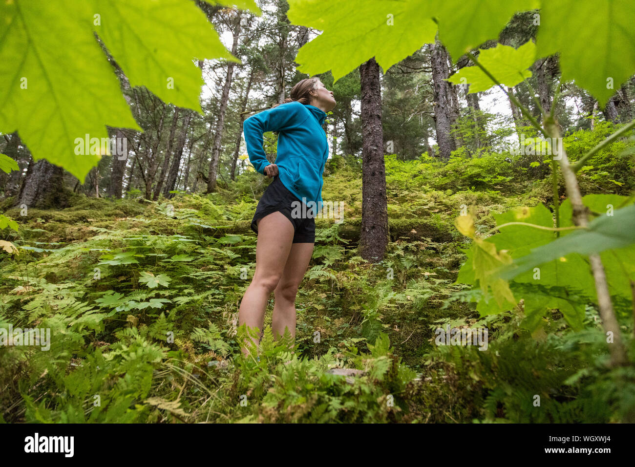 Gina Valdes, Seward, Alaska. Stockfoto