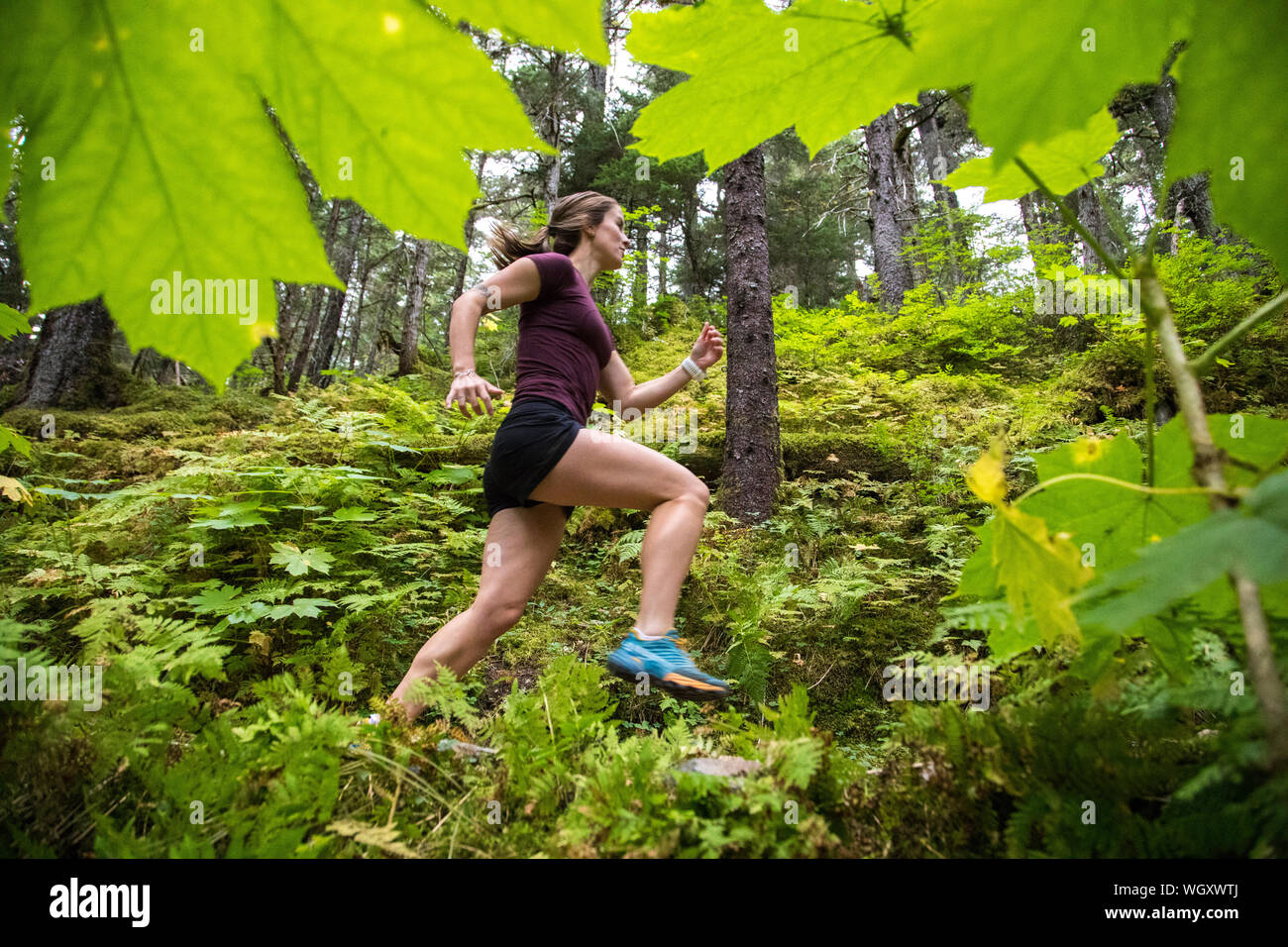 Gina Valdes, Seward, Alaska. Stockfoto
