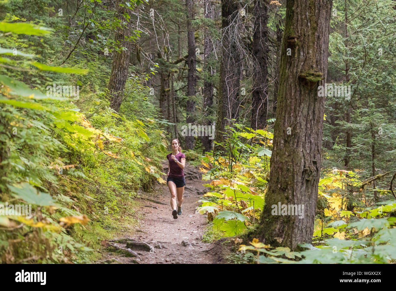 Gina Valdes, Seward, Alaska. Stockfoto